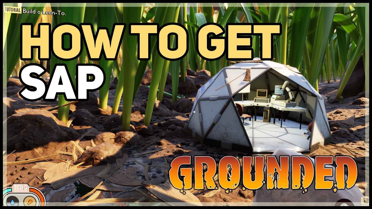 Where to find Sap in Grounded YouTube