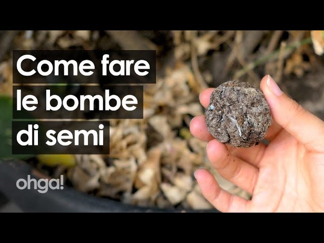 Bombe di semi: come farle in casa con la carta da riciclare 