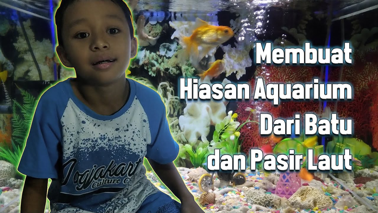 Membuat Hiasan  Aquarium Dari  Batu dan Pasir  Laut YouTube