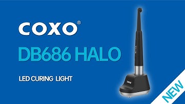 【COXO】DB686 Halo,COXO