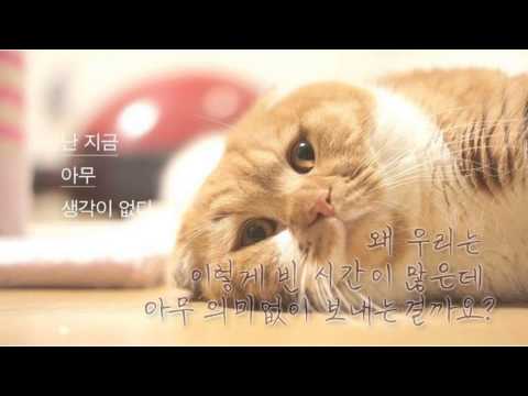 '왜?'라고 물어봅시다
