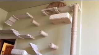 Hamish on his play wall by Catastrophic Creations 30,864 views 6 years ago 44 seconds