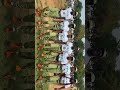 NYSC KWARA STATE #creativeprofessional #nysc_9ja #nysccamp #niches #viral #graduates