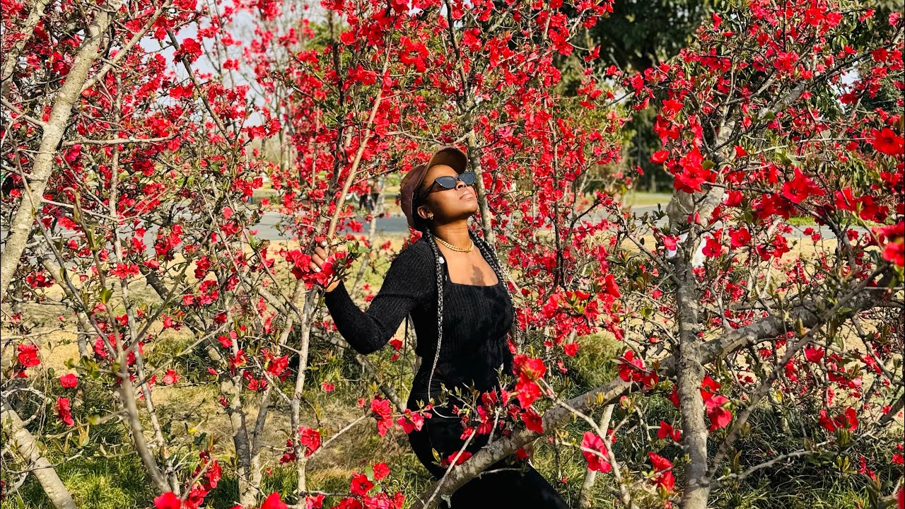 Our adventure to a flower park