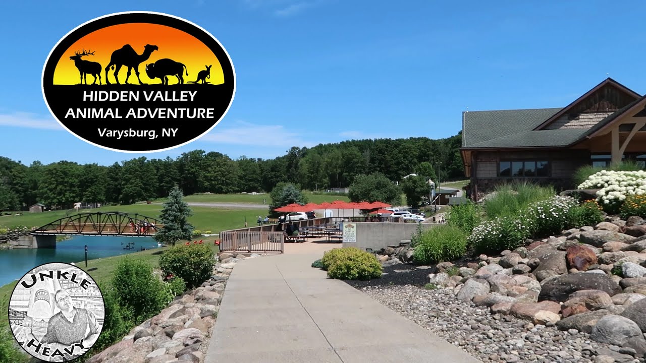 Hidden Valley Animal Adventure – An Amazing Drive Through Animal Safari in New York – Varysburg, NY
