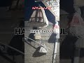 Batair ki awaaz/Quail bird sonds/бадана сойроки/صدای بلدر چین/بٹیر کی آواز