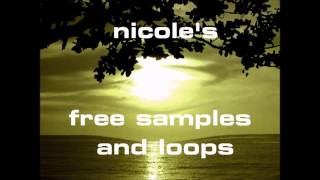 Nicole's Free Samples/Loops Glitch Loop 2, 145BPM (Check Description For Download Link!)