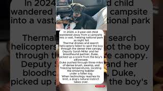 The K-9 That Tracked a Missing Toddler for 3 Miles Actualización