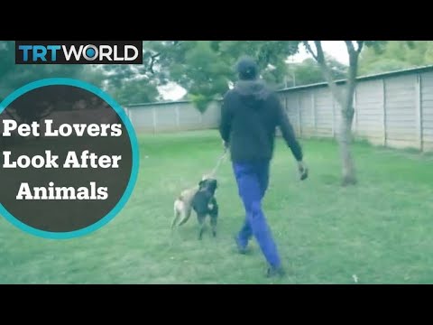 Pet lovers look after animals during South African lockdown
