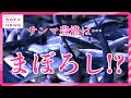【SATV特集】サンマの豊漁は一過性のものだった!? シーズン終盤にきて暗雲が立ち込めているみたいで...