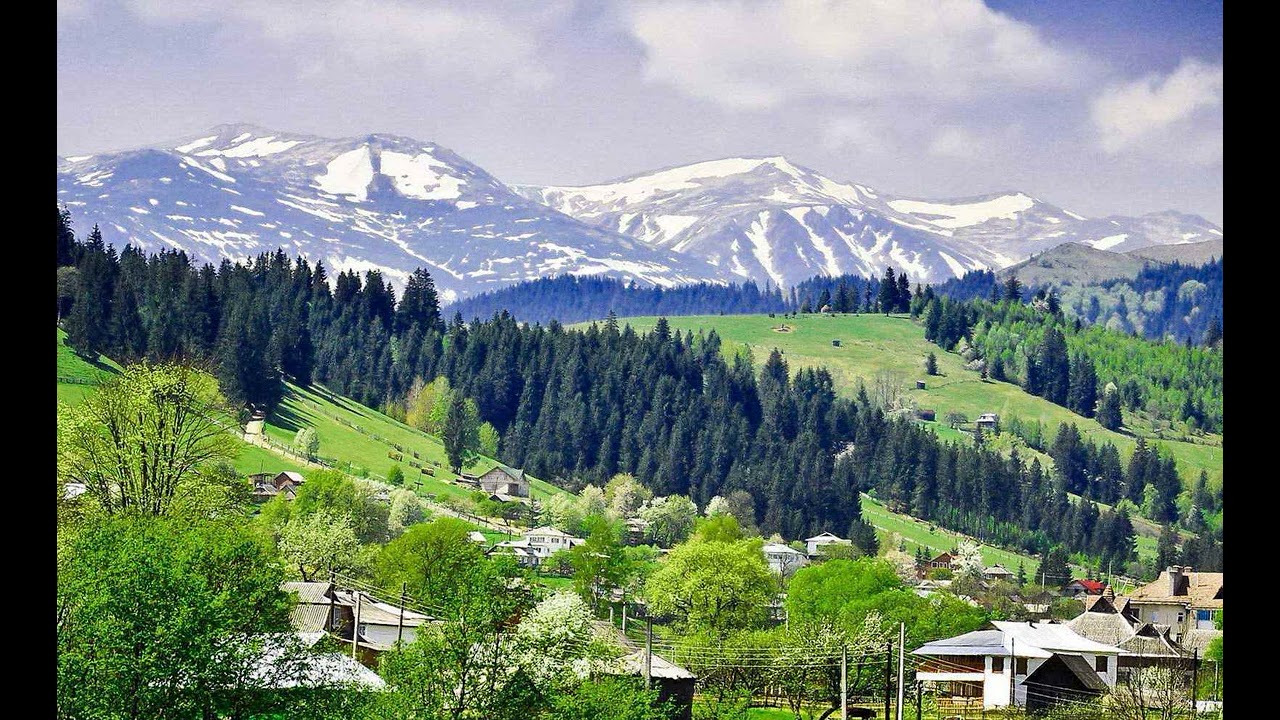 Я їду в Карпати (rock cover, 2026) [пісня]