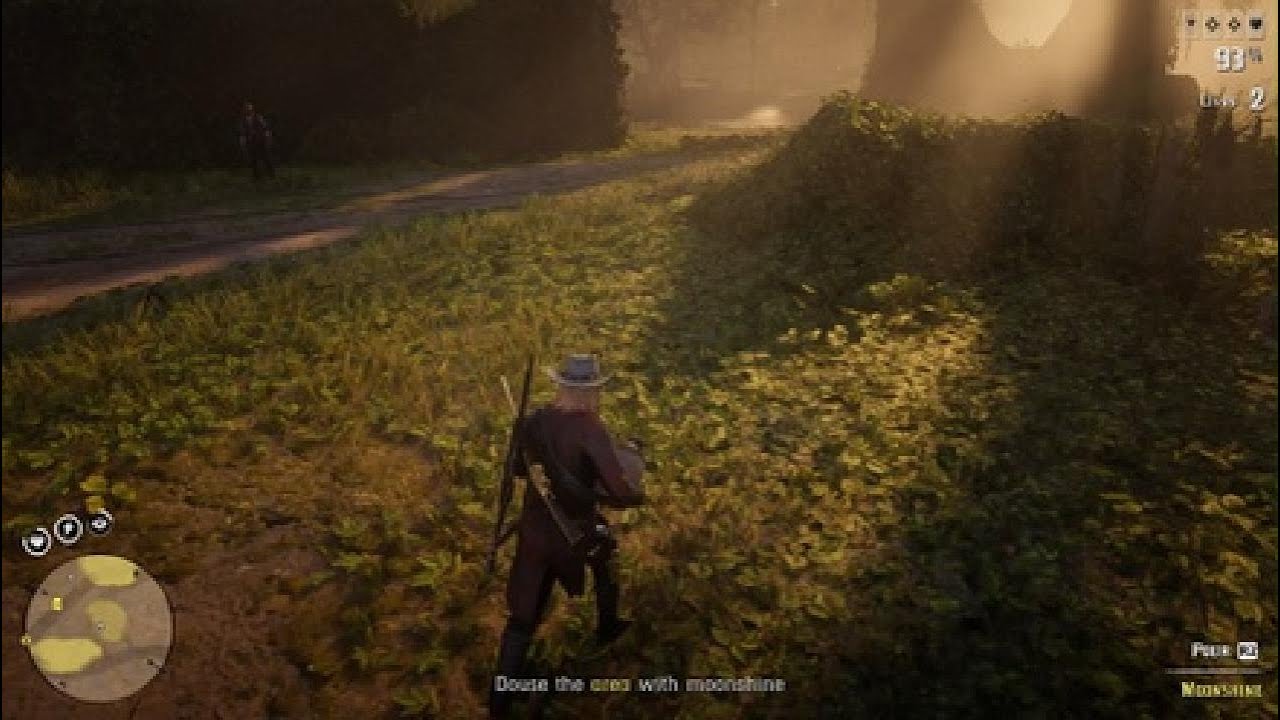 Red Dead Redemption 2 Online PS5 - The Certainy Of Death and Taxes Mission