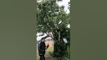 escape the matrix #grindset #fyp #sigmamale #sigmarule #attitude status #shorts