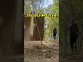 Insane Slinging Power! Wood Plank Smashed! #slingshot #outdoorgear #primitiveskills #edc #accident