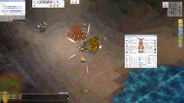 Ro exe Crusader aspd 189 กินยาคริ 30 คริฟินๆ