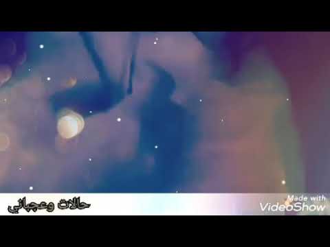 تامر حسني دايما مشغول بحاجات غيري ولا ليا وجود