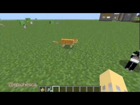 Epichesca - Minecraft Wolves, Pups, Cats & Kittens - YouTube