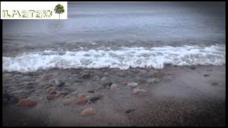 Loodusvideo Neeme Poolsaar.