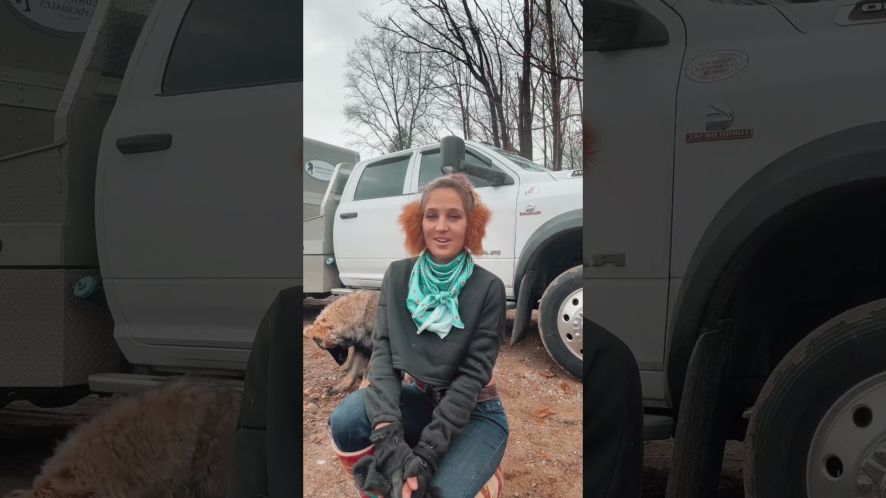 Это ваш самый большой красный флаг? 🚩 