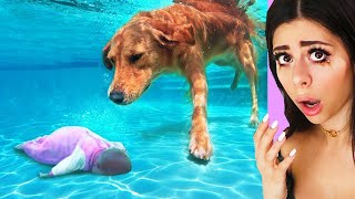 Unbelievable Animals That Saved Peoples Lives !