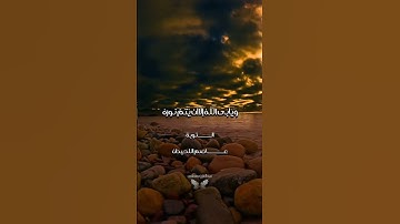 #تلاوة_خاشعة #اكسبلور #المصحف #hollyquran #قرآن #quran