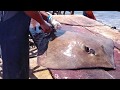 se come la Mantarraya? La probarías tu? Mira como le sacan la lonja