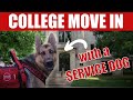COLLEGE MOVE IN with a SERVICE DOG!!