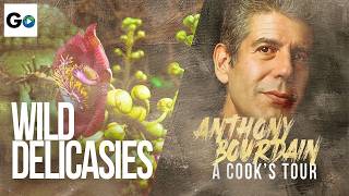 Wild Delicacies [4K] | A Cook's Tour | Season 1 Episode 5