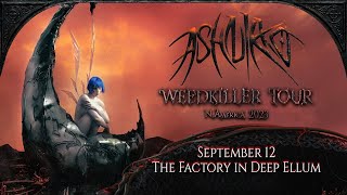 Ashnikko - Cry / Chokehold Cherry Python / Tantrum at The Factory in Deep Ellum - WEEDKILLER Tour