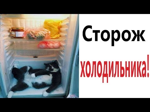 Лютые приколы. СТОРОЖ ХОЛОДИЛЬНИКА!!! Самое смешное видео! Засмеялся проиграл! - Domi Show!
