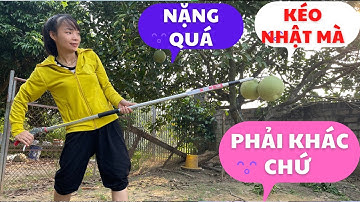 Báo giá và test thực tế kéo cắt cành trên cao NHẬT BẢN có LÔGO  dập chìm trên kéo