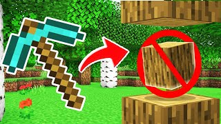 Finir Minecraft Sans Casser De Blocs