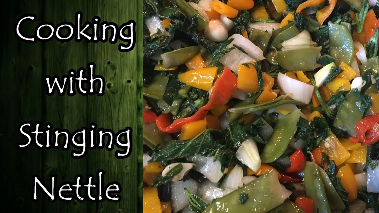 Cooking with Stinging Nettle