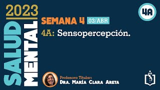 Clase  4A- Psicosemiología: Sensopercepción