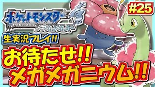 ポケモンhgss お待たせ メガメガニウム爆誕 ポケットモンスター ハートゴールド ソウルシルバー実況 25 生放送録画 Youtube ポケモンhgss お待たせ メガメガニウム爆誕 ポケットモンスター ハートゴールド ソウルシルバー実況 25 生放送録画 Youtube
