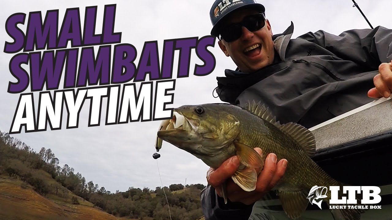 How To Fish Small Swimbaits: Lucky Tackle Box Tips 