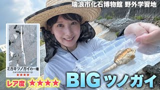 Fossil Hunting] I Found a Giant Tusk Shell Fossil in Mizunami