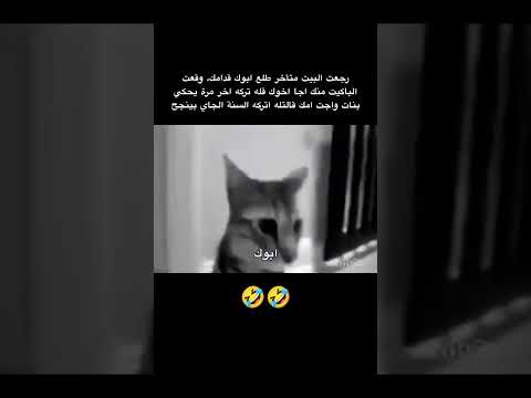 مصيبه  