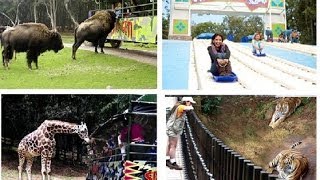 Bioparque Estrella México Video Oficial