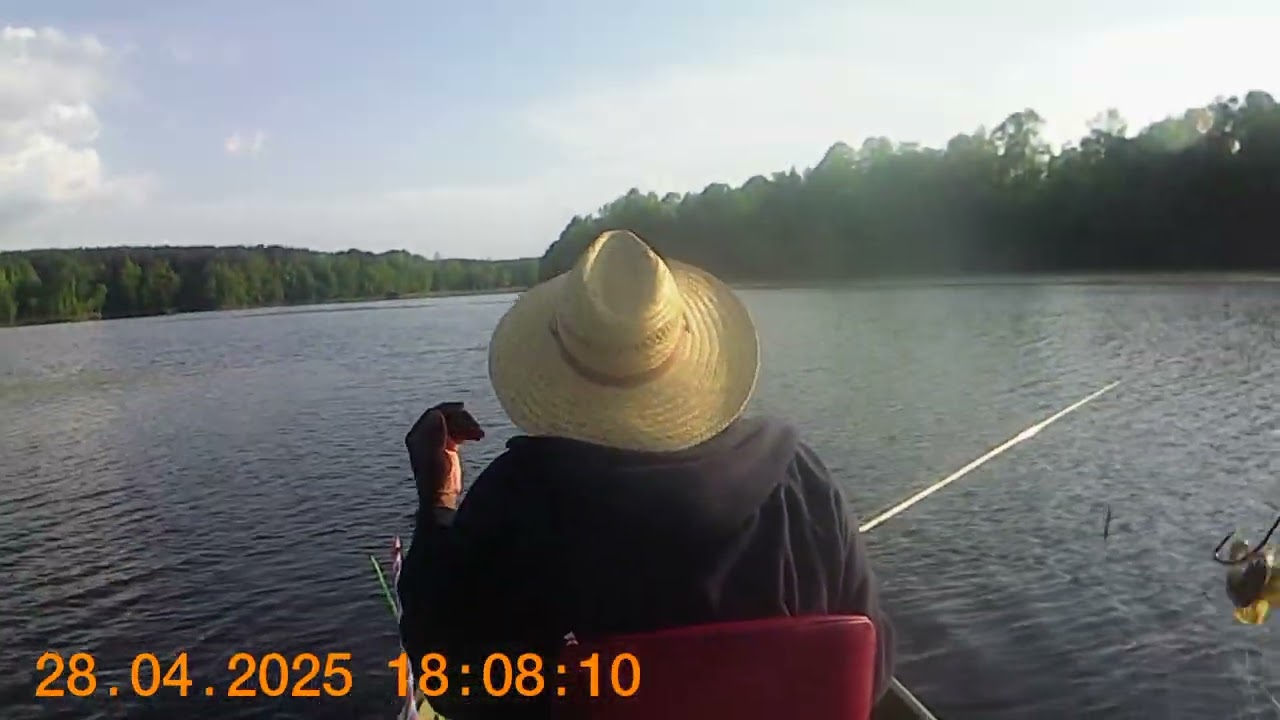 Jon Boat Bass Fishing in Winston County MS (Small Watershed) Part 1