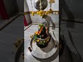 04/05/2026 Om Namah Shivay. Jay mahadev #youtube #shots.