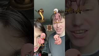 ПОМОГАЕМ ЖИВОТНЫМ И РАСПРЕДЕЛЯЕМ #демьянволков #demianvolkov