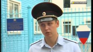Общественники предложили ввести страхование ответственности за бойцовых собак видео Страхование собак в России