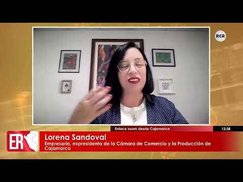 INESTABILIDAD Y CRISIS POLÍTICA