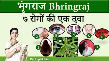 7 Amazing Health Benefits of Bhringraj - Eclipta alba || भृंगराज - ७ रोगों की एक दवा