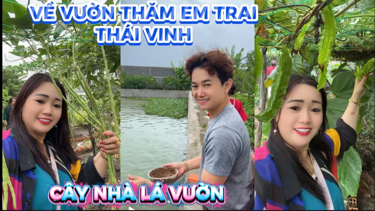 🍁530# GIA ĐÌNH THÁI VINH VỀ NHÀ VƯỜN SUM HỢP .