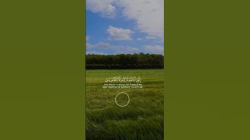 سورة طه للقارئ ياسر الدوسري #راحة_نفسية #اكسبلور #حالات_واتس #اقتباسات #لايك #تيك_توك #تاريخ #حالات