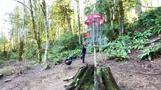 Mojoh Ryzer On Milo Mciver Stump Hole, Pre-Orders Available Now