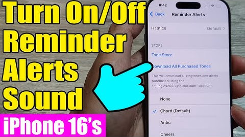 iPhone 16/16 Pro Max: How to Turn On/Off Reminder Alerts Sound
