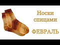 Февральские носки в СП Носочная коробочка-4 с Катериной Шурм.